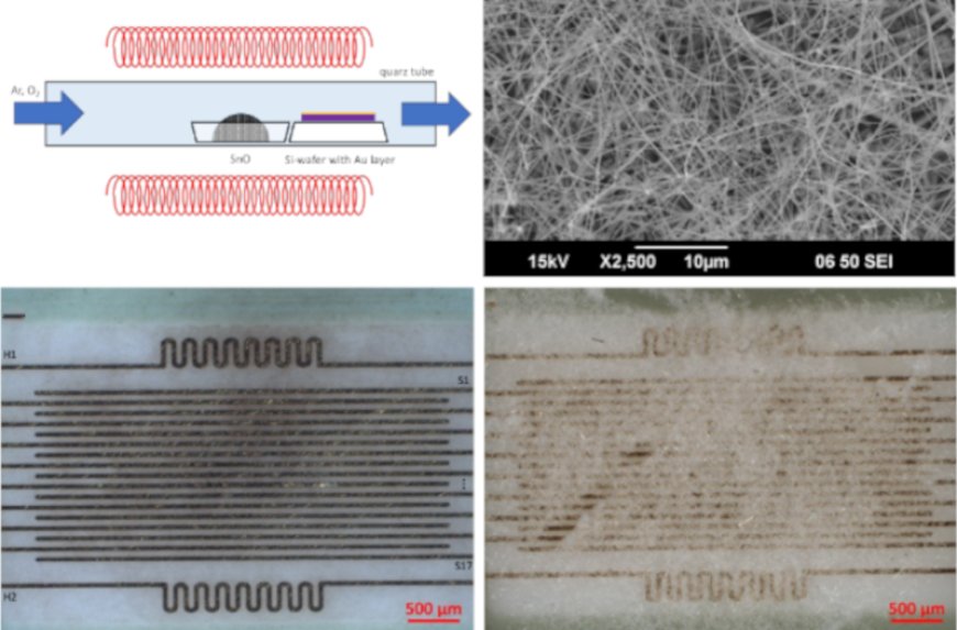 Electronic Nose Sniffs out Mold