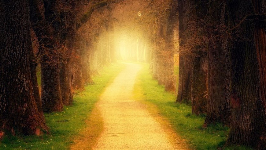 Bitcoin could rise to $100,000, analysts say: Crypto Daybook Americas