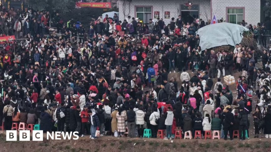 Chinese woman's plea for help killing pigs draws thousands to her village