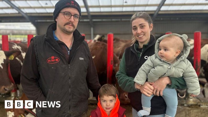 'We're in survival mode': The cost of milk price crisis to family dairy farms