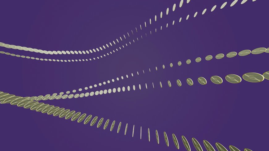 Manage Your AI Investments Like a Portfolio