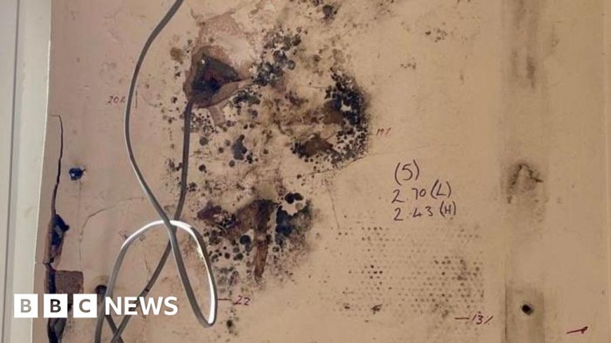 Botched insulation scheme was 'doomed to fail', say MPs