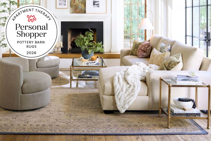 We Tested (and Rated!) All the Rugs at Pottery Barn — Here Are the Best for Your Space and Needs
