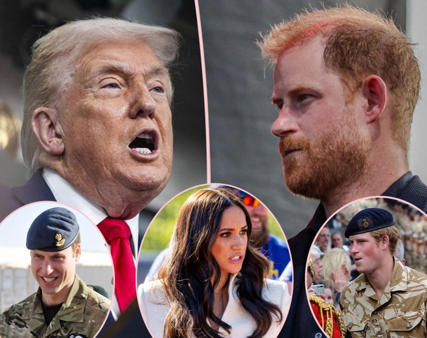 Prince Harry SLAMS Donald Trump's NATO Comments, Reminds Him How Europe Was There For United States After 9/11: 'I Lost Friends' In Afghanistan