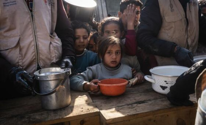 Cold kills another infant in Gaza as West Bank displacement intensifies