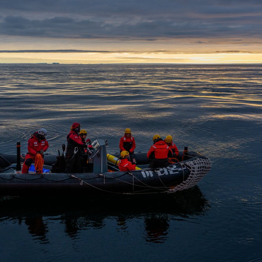 An Antarctic Mission to Recover a Robot’s Data