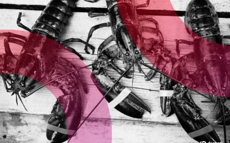 AI Agents Launched a Social Network and Spawned a Digital Religion Overnight