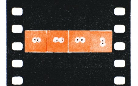 180 Shots on a Roll with the Little Stupid Camera