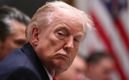 Trump’s Big Loser Energy, and Other Tales From the Annals of Political Messaging