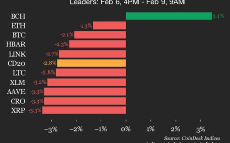 CoinDesk 20 performance update: Bitcoin Cash (BCH) is only gainer, up 3.4%