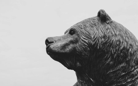 Mike McGlone softens bitcoin downside target to $28,000 after backlash over $10,000 call