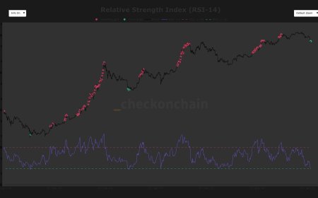 Why bitcoin’s rare oversold RSI crash signals a long, slow grind ahead
