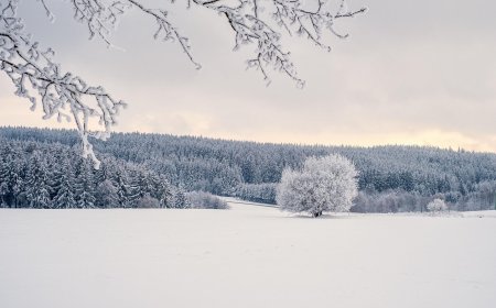 Crypto markets feel the chill, Base, ether.fi reorganize layer-2 landscape