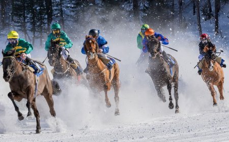 Bitcoin, ether rise as altcoins lag in low-volatility trade