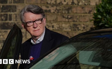 Lobbying firm co-founded by Mandelson faces collapse