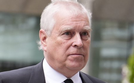 Andrew arrest and UN fact-finding mission in Sudan