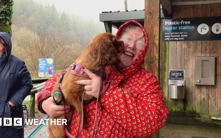 Cornish village endures 50 consecutive days of rain