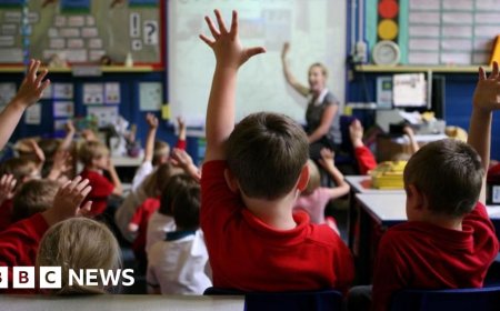 Pupils with SEND to have support reviewed after primary, leaked plans suggest