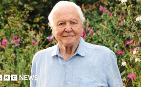BBC plans David Attenborough celebration for 100th birthday