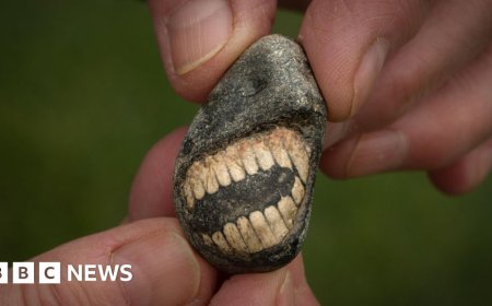 How a tiny pebble found on a Boxing Day walk got its 'smile'