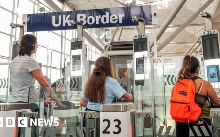 What is the UK's new travel system and how are dual nationals affected?
