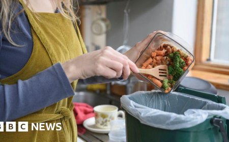 One in four councils to miss food waste collection deadline - find out if yours is one