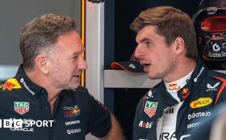 Verstappen was not behind my Red Bull exit - Horner