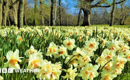 UK temperatures expected to reach 18C after rainy start to 2026