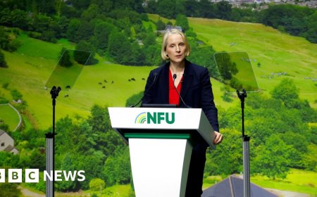 Government relaunches green payment scheme for farmers after sudden closures