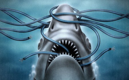 Say Goodbye to the Undersea Cable That Made the Global Internet Possible