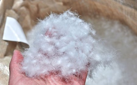 What Is Down Fill Power (2026): Fill Weight, Synthetics