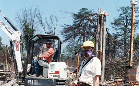 A Chimney in Search of a Home Lands 3,000 Miles Away