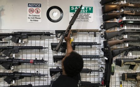 Minnesota Democrats' Priorities: Owning AR-15 Gets You More Jail Time Than Attempted Rape