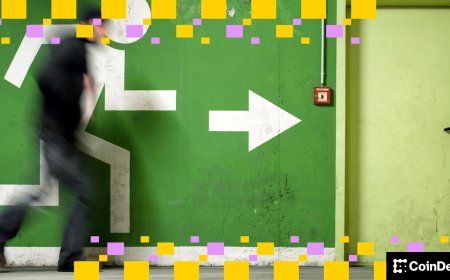 Blockfills co-founder and CEO Nicholas Hammer has stepped down