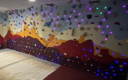 Building An Interactive Climbing Wall