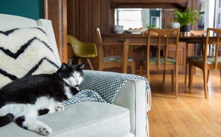 This $8 IKEA Find Is an “Irresistibly Cute” Piece of Storage for Kids and Adults (and Fits So Much!)