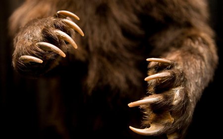 Bitcoin falls back below $67,000, rapidly giving back Wednesday's gains