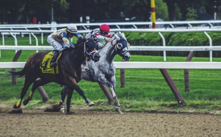 Punters want crypto: UK Gambling Commission explores how to keep bettors on licensed sites