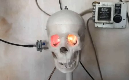 Let Hauntimator Steer Your Next Animatronic Display