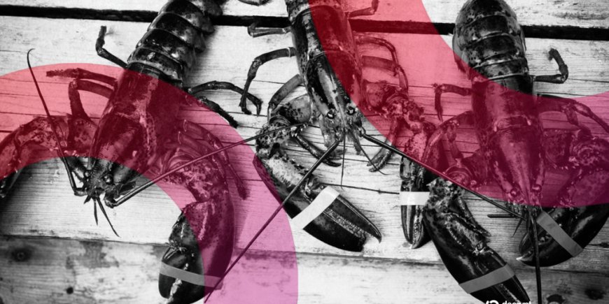 AI Agents Launched a Social Network and Spawned a Digital Religion Overnight