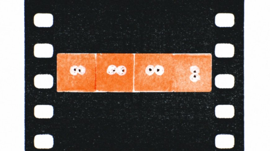 180 Shots on a Roll with the Little Stupid Camera