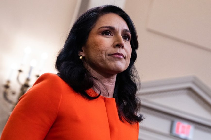 A Conspiracy Fueled Report Preceded ‘Black Pill’ Tulsi Gabbard’s Fulton County Election Raid