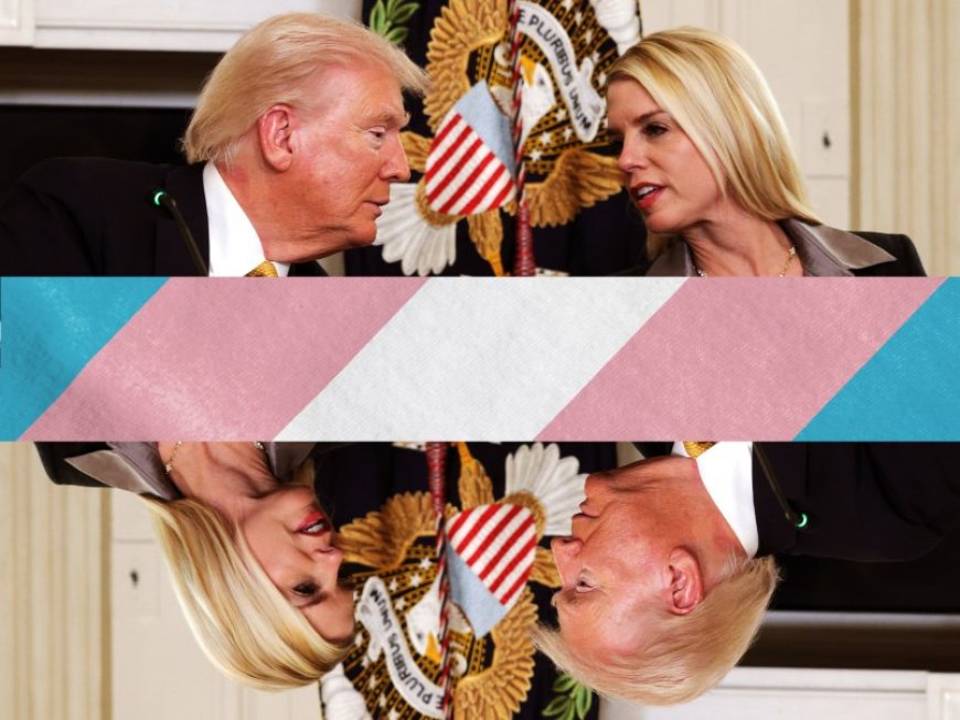 Trump’s DOJ Keeps Losing in Court Over Bids to Eliminate Gender-Affirming Care