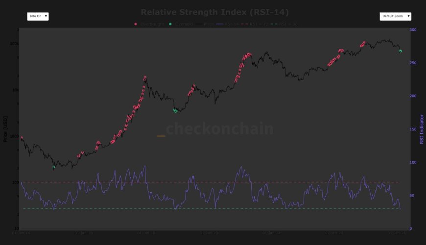 Why bitcoin’s rare oversold RSI crash signals a long, slow grind ahead
