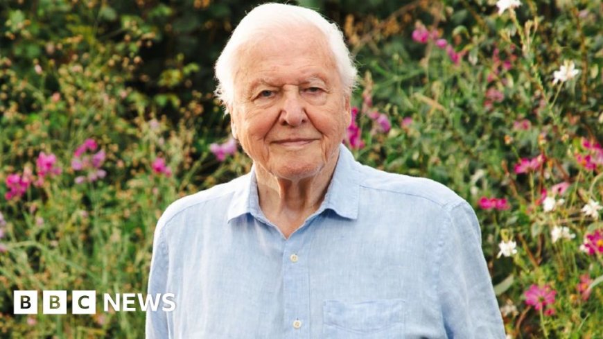 BBC plans David Attenborough celebration for 100th birthday