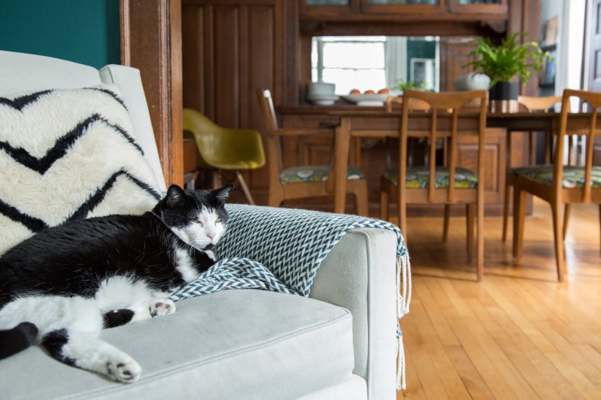 This $8 IKEA Find Is an “Irresistibly Cute” Piece of Storage for Kids and Adults (and Fits So Much!)