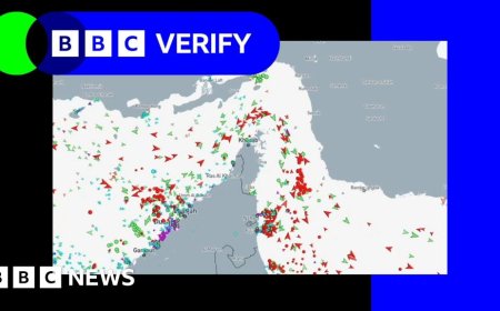 Watch: How the US-Israel war with Iran is jeopardising shipping