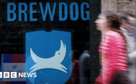 The 15-minute call where hundreds of 'devastated' Brewdog staff were made redundant