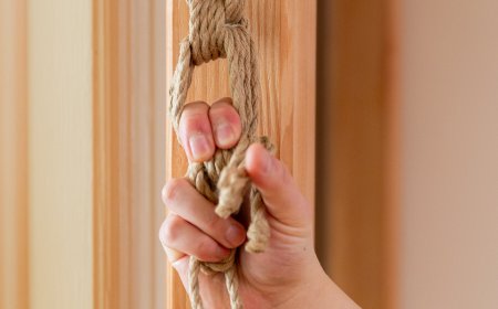 How Homeowners Renovate for Kink