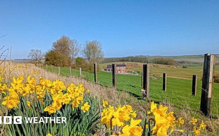 Spring sunshine means parts of the UK to bask in temperatures of 19C